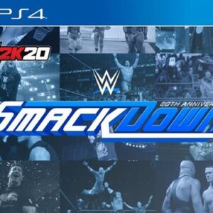 PlayStation 4 Game WWE 2k20 Collector's Edition