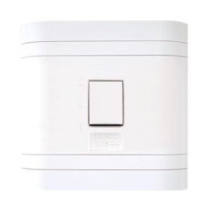 Lesco 2 Pole Flush Isolator Switch with Square