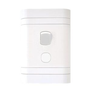 Lesco 2 Pole Flush Isolator Switch with Rectangle