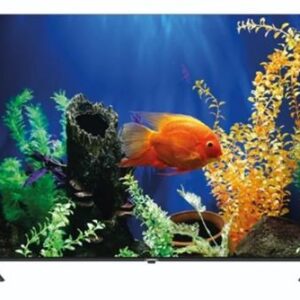 Sinotec 55 inch G1U Series UHD LED Google Smart