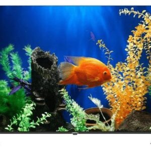 Sinotec 55 inch G1U UHD Smart LED TV