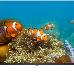 Sinotec 65 inch S1U UHD Smart LED TV
